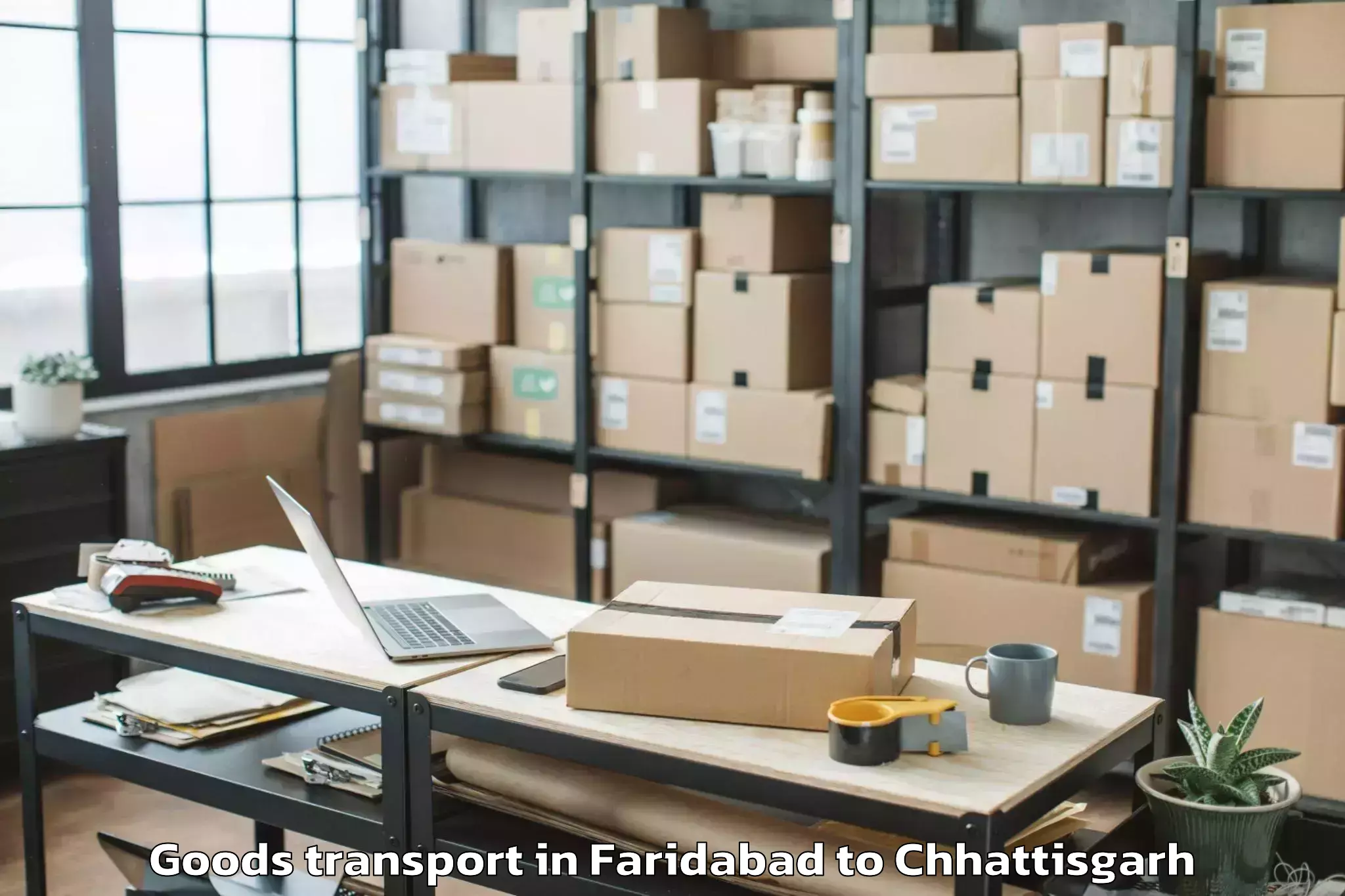 Professional Faridabad to Janjgir Goods Transport